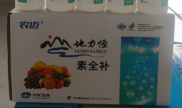 素全补